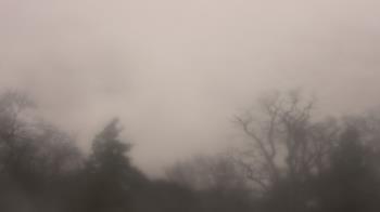 Weather camera view of Saint Peter School.