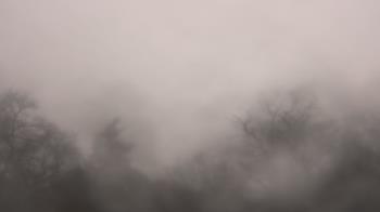 Weather camera view of Saint Peter School.