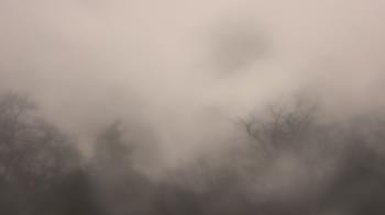 Weather camera view of Saint Peter School.