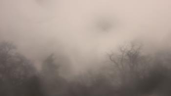 Weather camera view of Saint Peter School.