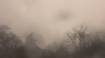 Weather camera view of Saint Peter School.