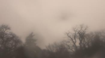 Weather camera view of Saint Peter School.