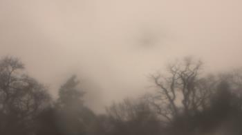 Weather camera view of Saint Peter School.