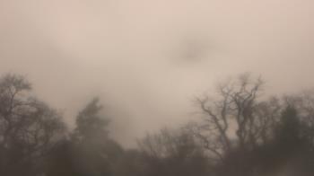 Weather camera view of Saint Peter School.