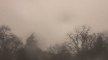 Weather camera view of Saint Peter School.