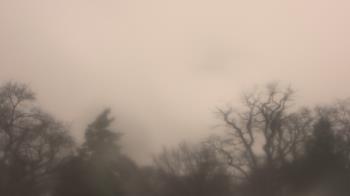 Weather camera view of Saint Peter School.