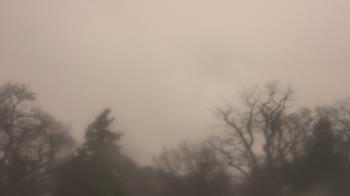 Weather camera view of Saint Peter School.