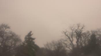 Weather camera view of Saint Peter School.