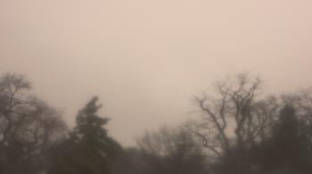 Weather camera view of Saint Peter School.