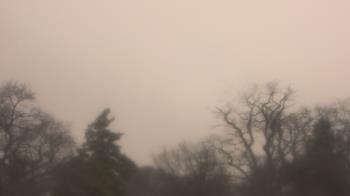 Weather camera view of Saint Peter School.