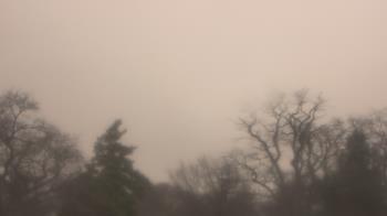 Weather camera view of Saint Peter School.