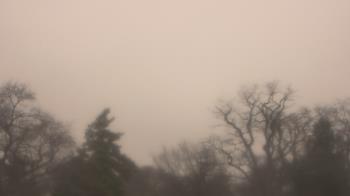 Weather camera view of Saint Peter School.