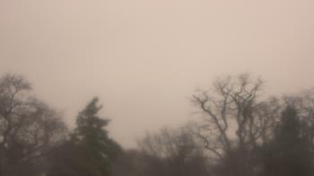 Weather camera view of Saint Peter School.