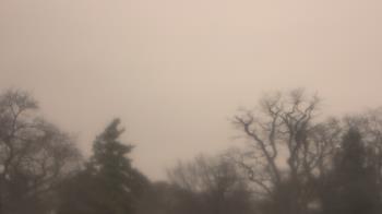 Weather camera view of Saint Peter School.