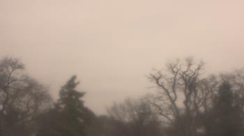 Weather camera view of Saint Peter School.