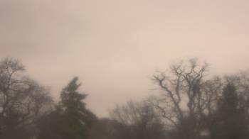 Weather camera view of Saint Peter School.