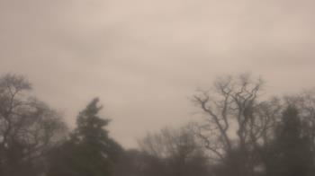 Weather camera view of Saint Peter School.