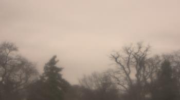 Weather camera view of Saint Peter School.