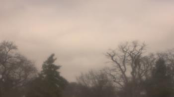 Weather camera view of Saint Peter School.