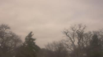 Weather camera view of Saint Peter School.