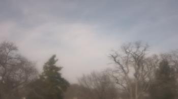 Weather camera view of Saint Peter School.