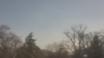 Weather camera view of Saint Peter School.