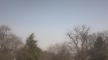 Weather camera view of Saint Peter School.