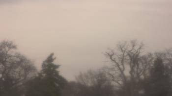 Weather camera view of Saint Peter School.