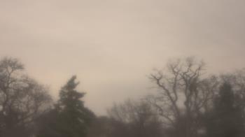 Weather camera view of Saint Peter School.