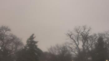 Weather camera view of Saint Peter School.