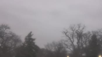 Weather camera view of Saint Peter School.