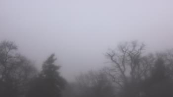 Weather camera view of Saint Peter School.