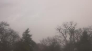 Weather camera view of Saint Peter School.