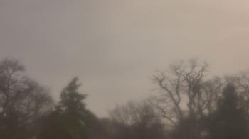 Weather camera view of Saint Peter School.