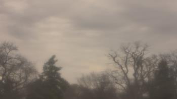 Weather camera view of Saint Peter School.