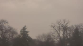 Weather camera view of Saint Peter School.