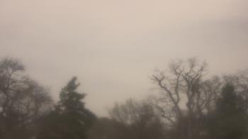 Weather camera view of Saint Peter School.