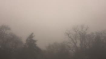 Weather camera view of Saint Peter School.