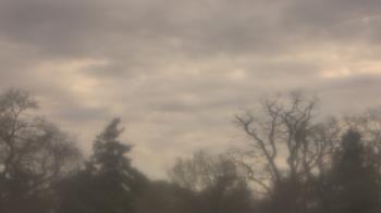 Weather camera view of Saint Peter School.