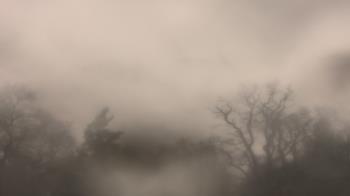 Weather camera view of Saint Peter School.