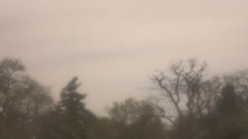 Weather camera view of Saint Peter School.