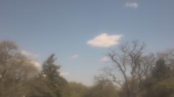 Weather camera view of Saint Peter School.