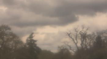 Weather camera view of Saint Peter School.