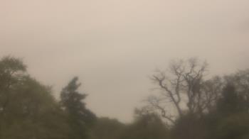 Weather camera view of Saint Peter School.