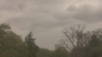 Weather camera view of Saint Peter School.