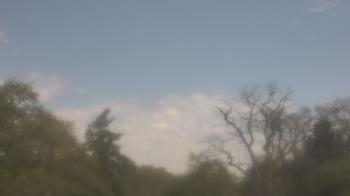 Weather camera view of Saint Peter School.
