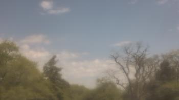 Weather camera view of Saint Peter School.