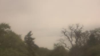 Weather camera view of Saint Peter School.