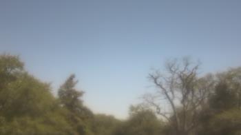 Weather camera view of Saint Peter School.