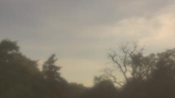 Weather camera view of Saint Peter School.
